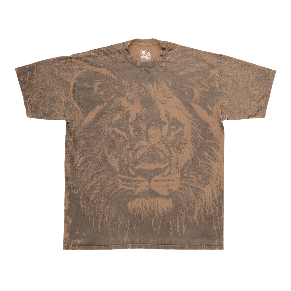Lion and the Lamb